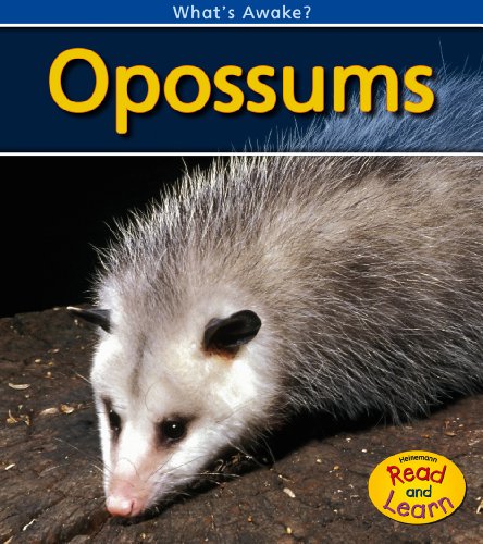 Opossums by Patricia Whitehouse