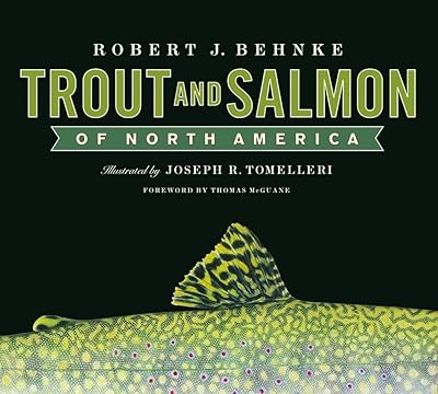 Trout and Salmon of North America