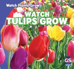 Watch Tulips Grow