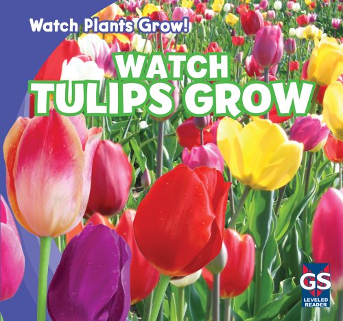 Watch Tulips Grow by Kristen Rajczak
