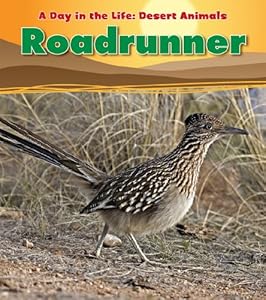 Roadrunner