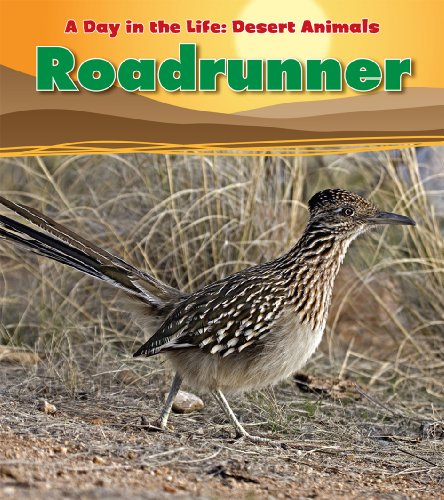 Roadrunner by Anita Ganeri