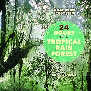 24 Hours in a Tropical Rain Forest