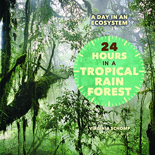 24 Hours in a Tropical Rain Forest by Virginia Schomp