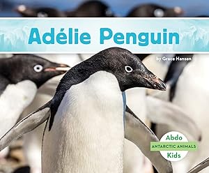Adelie Penguin (Antarctic Animals)