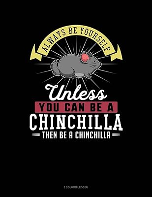 Always Be Yourself Unless You Can Be A Chinchilla Then Be A Chinchilla: 3 Column Ledger