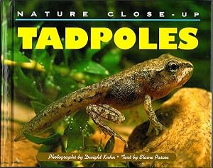 Nature Close-Up - Tadpoles