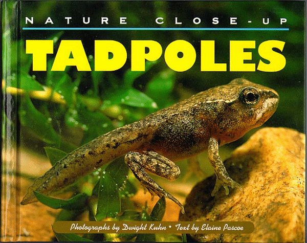 Nature Close-Up - Tadpoles by Elaine Pascoe