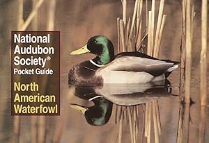 National Audubon Society Pocket Guide: North American Waterfowl (National Audubon Society Pocket Guides)