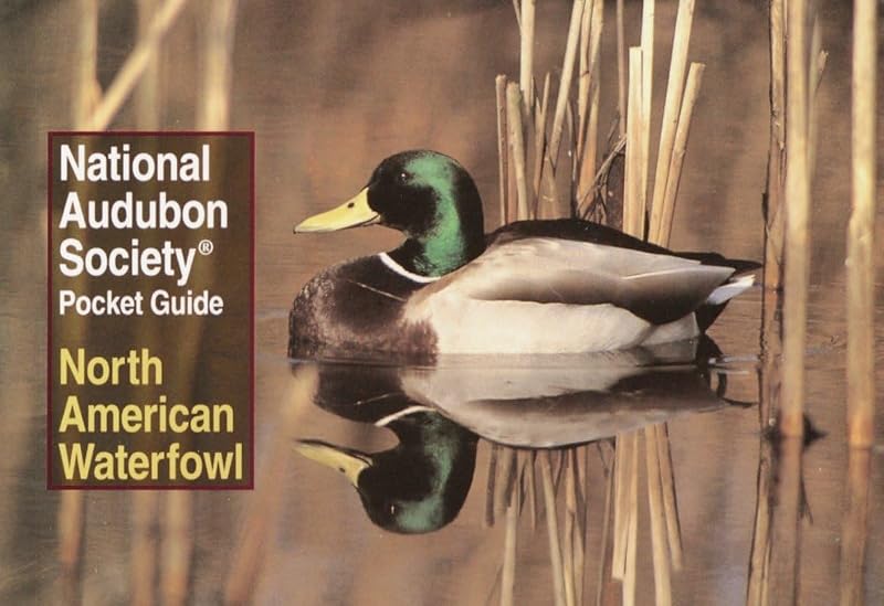 National Audubon Society Pocket Guide: North American Waterfowl (National Audubon Society Pocket Guides) by National Audubon Society