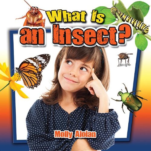What Is an Insect? by Molly Aloian
