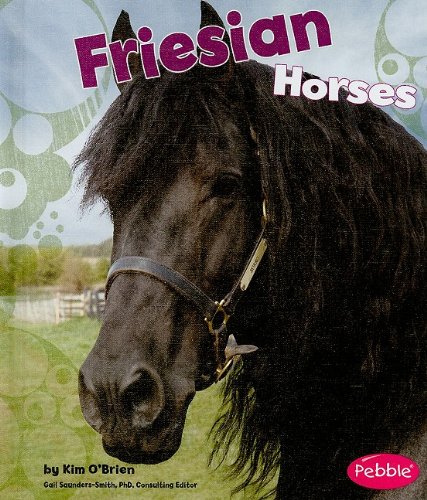 Friesian Horses by Kim O'Brien
