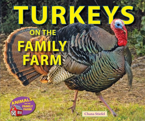 Turkeys on the Family Farm by Chana Stiefel