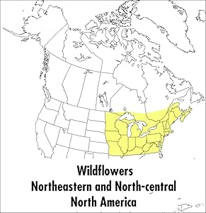 A Peterson Field Guide To Wildflowers: Northeastern and North-central North America (Peterson Field Guides) by Margaret McKenny
