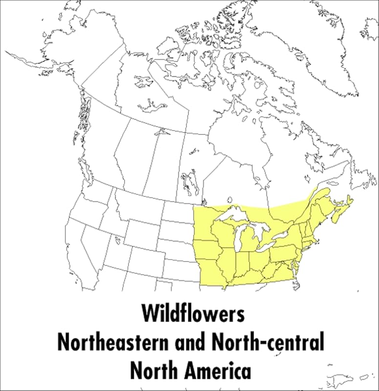 A Peterson Field Guide To Wildflowers: Northeastern and North-central North America (Peterson Field Guides) by Margaret McKenny