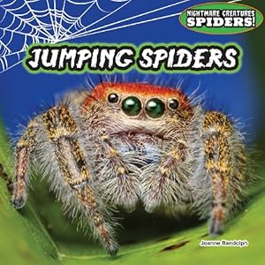 Jumping Spiders