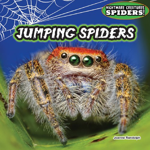 Jumping Spiders by Joanne Randolph