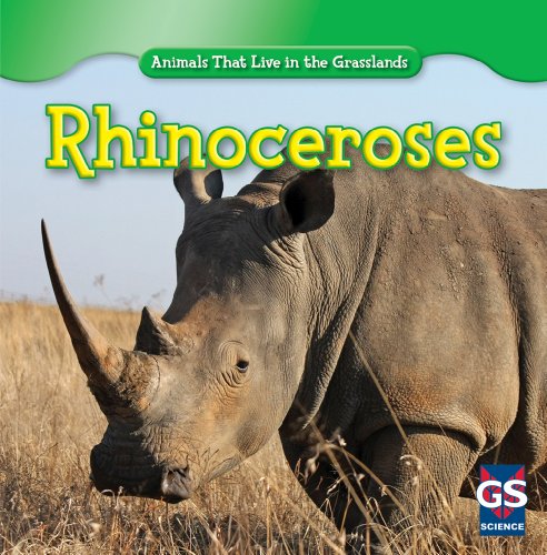 Rhinoceroses by Ethan Grucella