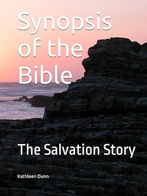 Synopsis of the Bible: The Salvation Story
