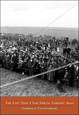 The last Time I Saw Amelia Earhart: Poems