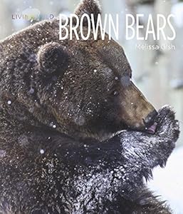 Brown Bears by Melissa Gish
