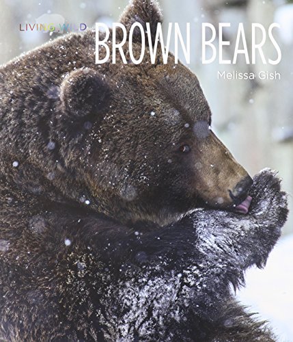 Brown Bears by Melissa Gish