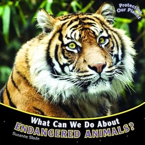 What Can We Do About Endangered Animals?
