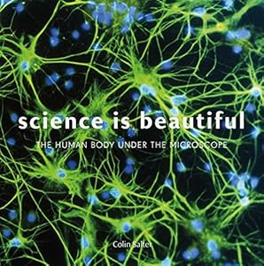 Science Is Beautiful: The Human Body Under the Microscope
