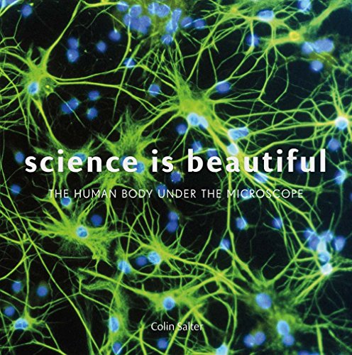 Science Is Beautiful: The Human Body Under the Microscope by Colin Salter