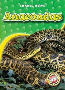 Anacondas