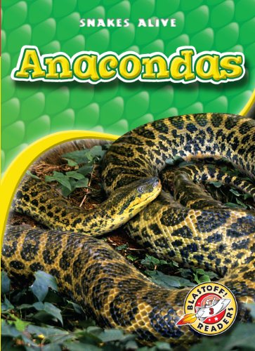 Anacondas by Colleen Sexton