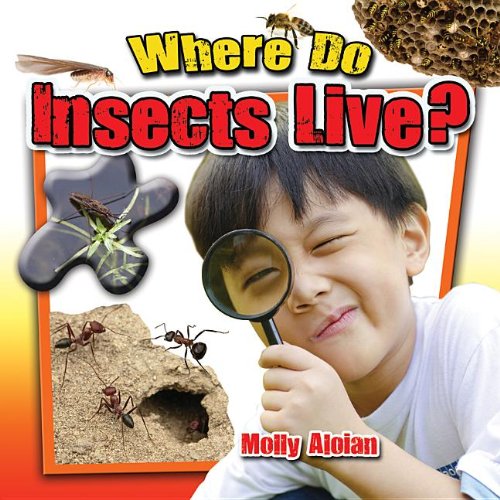 Where Do Insects Live? by Molly Aloian