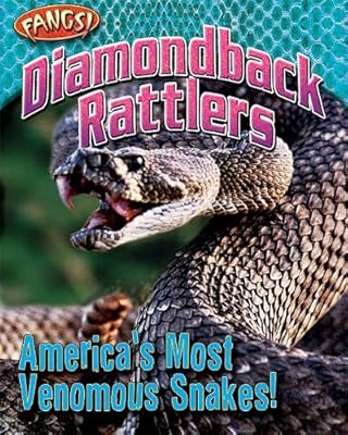 Diamondback Rattlers: America's Most Venomous Snakes!
