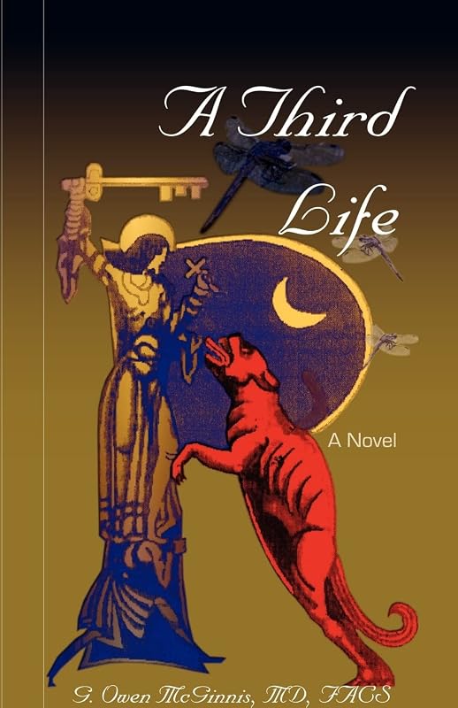 A Third Life, A Novel by G. Owen McGinnis