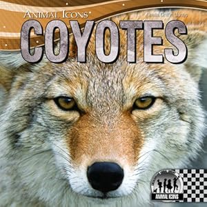 Coyotes