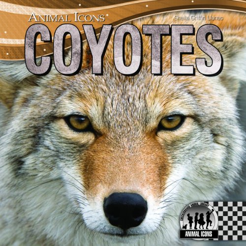 Coyotes by Sheila Griffin Llanas