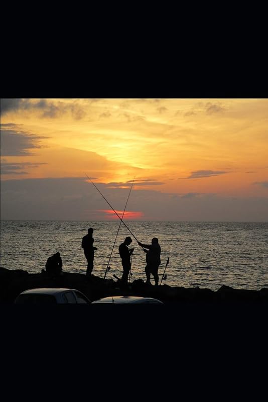 Freedom and Peace by Chris Fife