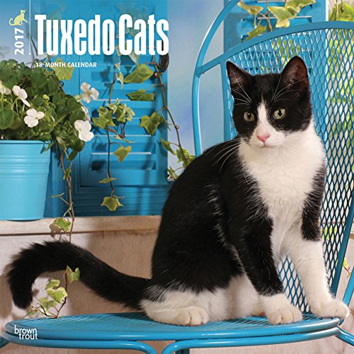 Tuxedo Cats - 2017 Calendar 12 x 12in by Browntrout