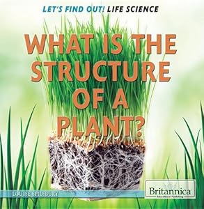 What Is the Structure of a Plant?