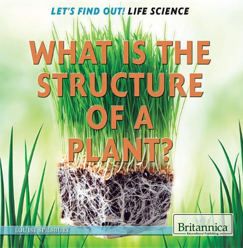 What Is the Structure of a Plant? by Louise Spilsbury