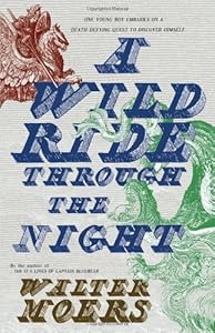 A Wild Ride Through the Night