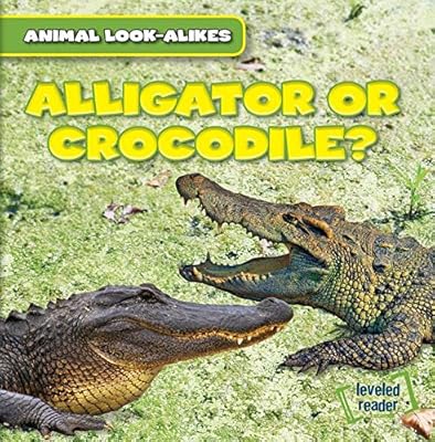 Alligator or Crocodile?