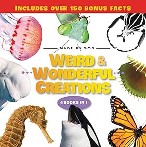 Weird and Wonderful Creations