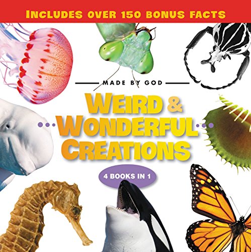 Weird and Wonderful Creations by Zondervan