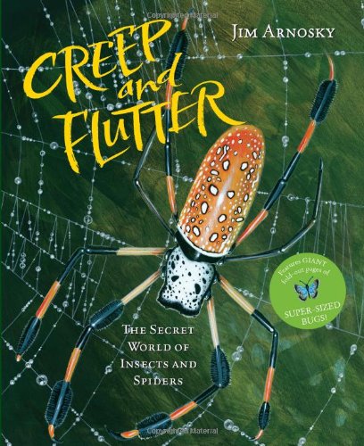 Creep and Flutter: The Secret World of Insects and Spiders by Jim Arnosky