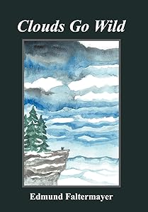 Clouds Go Wild by Edmund Faltermayer