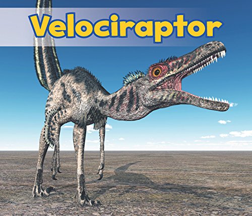 Velociraptor by Daniel Nunn