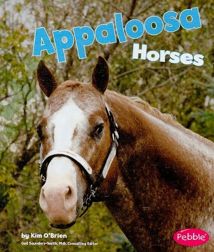 Appaloosa Horses by Kim O'Brien