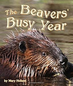 The Beavers' Busy Year