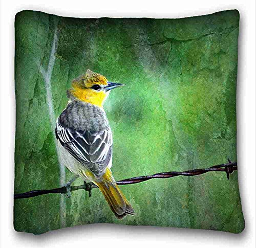 Algopix Similar Product 9 - 